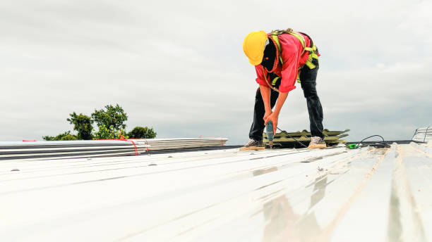 Best Roof Moss and Algae Removal  in New Concord, OH